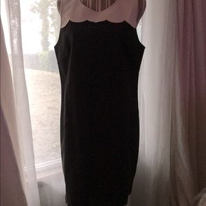 NWT J.CREW Scalloped Shift Dress